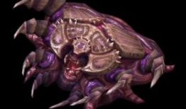 星际争霸2虫王91直播,星际争霸2虫族战术解析与实战技巧揭秘