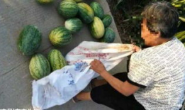 屏南吃瓜最新事件爆料,揭秘背后惊人真相