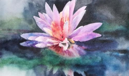 水彩画视频,跟随视频探索色彩魅力